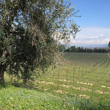 Tenuta La Ca Bardolino Dış mekan fotoğraf