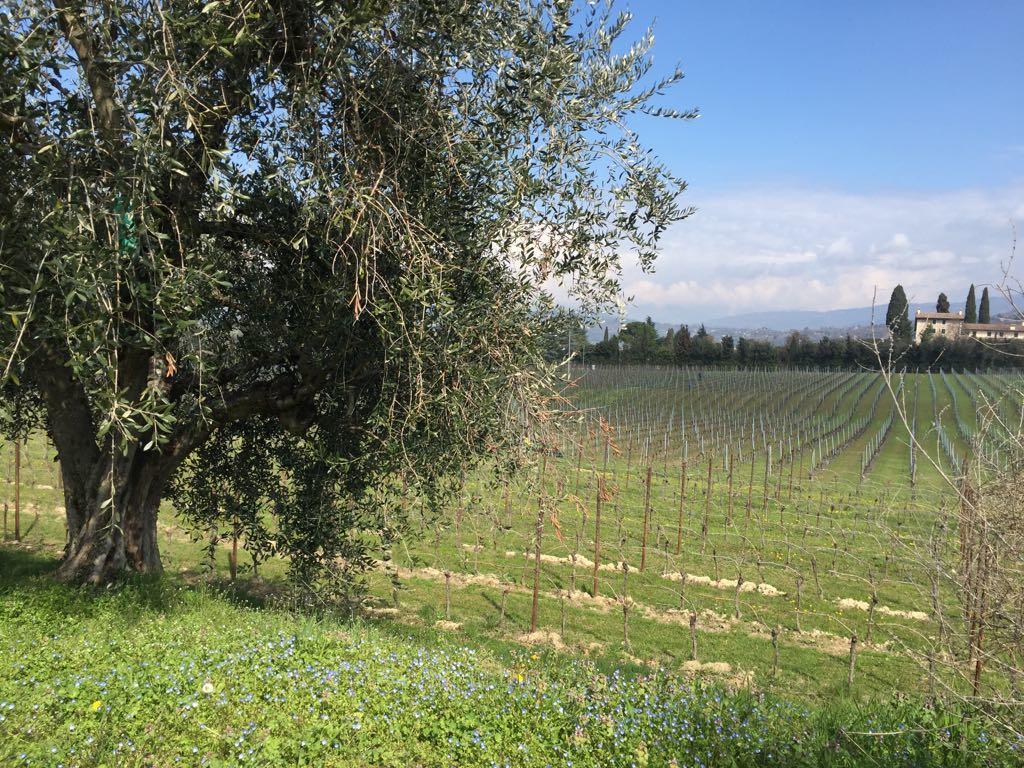 Tenuta La Ca Bardolino Dış mekan fotoğraf